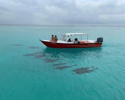 91913b98-674d-4bc2-aefc-da64299a87b7